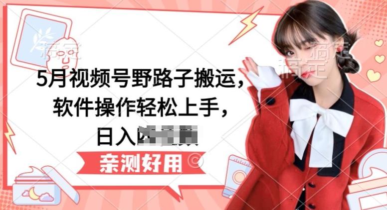5月视频号野路子搬运，软件操作轻松上手，日入三位数【揭秘】-数智网创