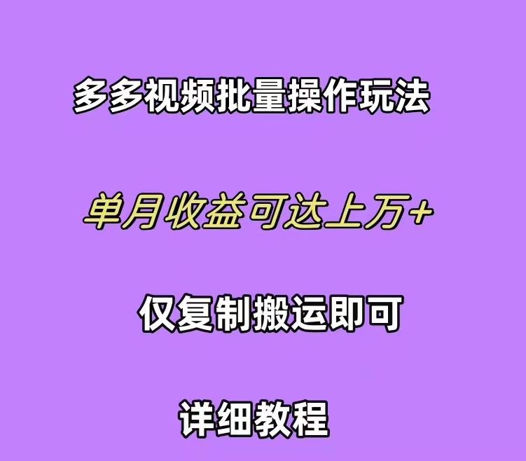 (10029期)拼多多视频带货快速过爆款选品教程 每天轻轻松松赚取三位数佣金 小白必…-数智网创