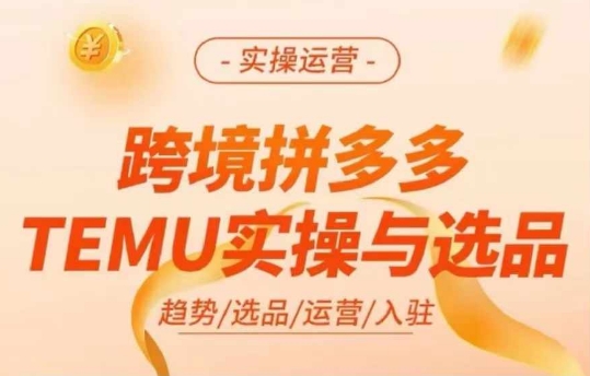 跨境拼多多TEMU实操与选品，多多temu跨境选品运营实操-数智网创