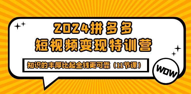 (9817期)2024拼多多短视频变现特训营，知识的丰厚比起金钱更可靠(11节课)-数智网创