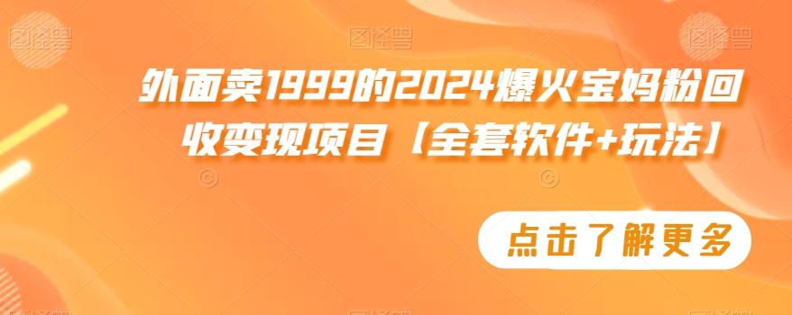外面卖1999的2024爆火宝妈粉回收变现项目【全套软件+玩法】【揭秘】-数智网创