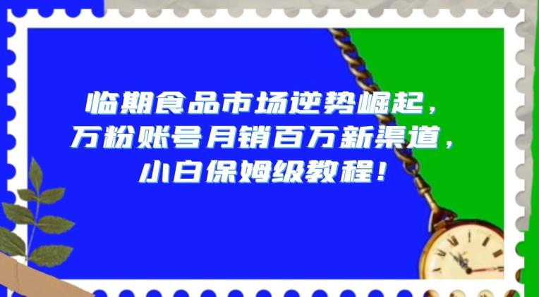 临期食品市场逆势崛起，万粉账号月销百万新渠道，小白保姆级教程【揭秘】-数智网创