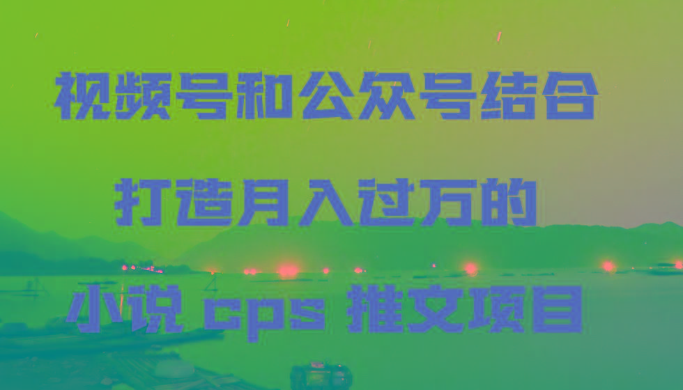 视频号和公众号结合打造月入过万的小说cps推文项目，包括市面上面的各种思路详解-数智网创