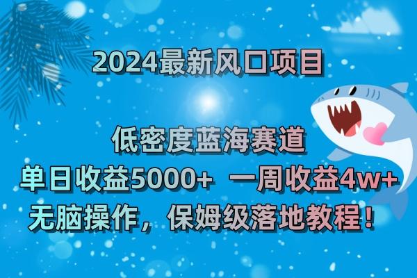 (8545期)2024最新风口项目 低密度蓝海赛道，日收益5000+周收益4w+ 无脑操作，保…-数智网创