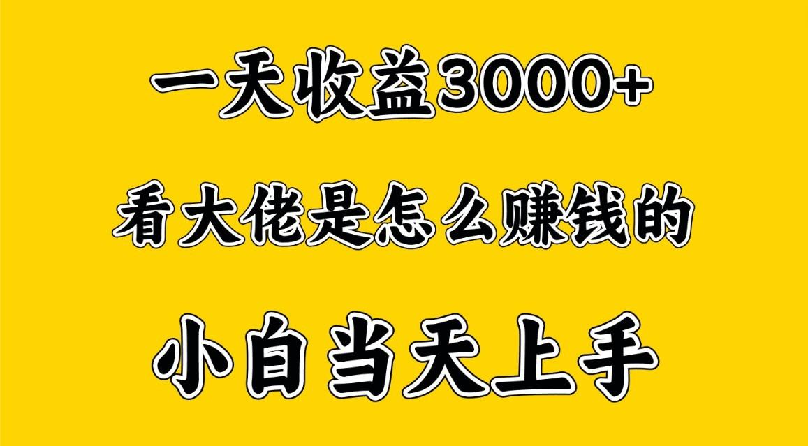 一天赚3000多，大佬是这样赚到钱的，小白当天上手，穷人翻身项目-数智网创