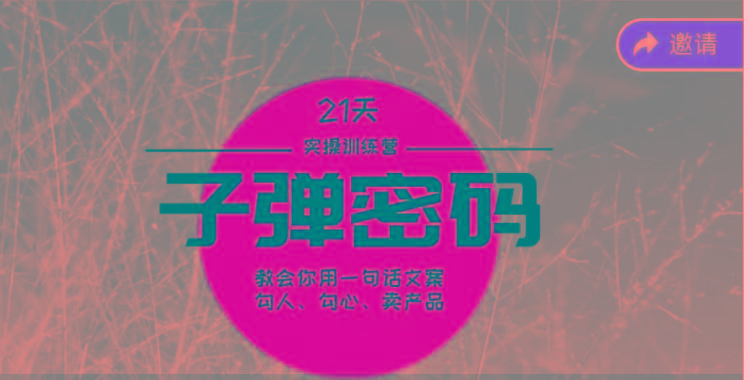 《子弹密码训练营》-用一句话文案勾人勾心卖产品，21天学到顶尖文案大师策略和技巧-数智网创