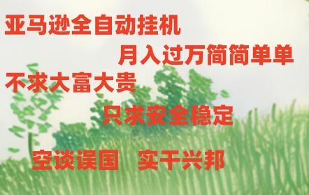 亚马逊全自动浏览挂机，，收益稳定且前景广阔-数智网创