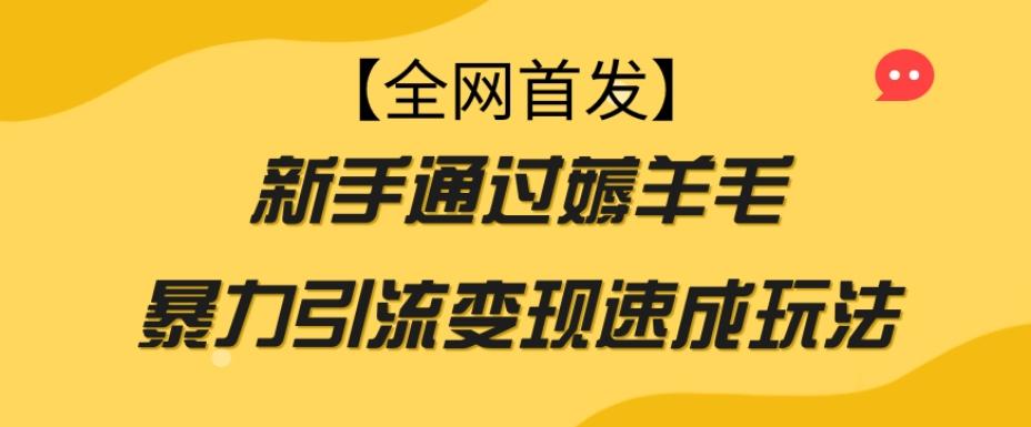 【全网首发】新手通过薅羊毛暴力引流变现速成玩法-数智网创