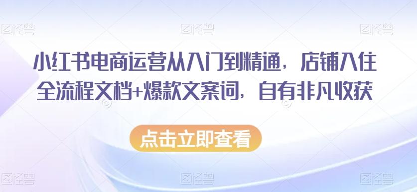 小红书电商运营从入门到精通，店铺入住全流程文档+爆款文案词，自有非凡收获-数智网创