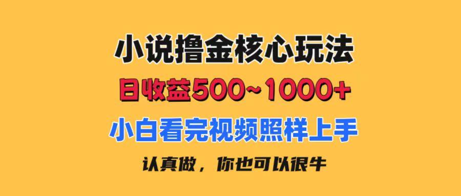 小说撸金核心玩法，日收益500-1000+，小白看完照样上手，0成本有手就行-数智网创