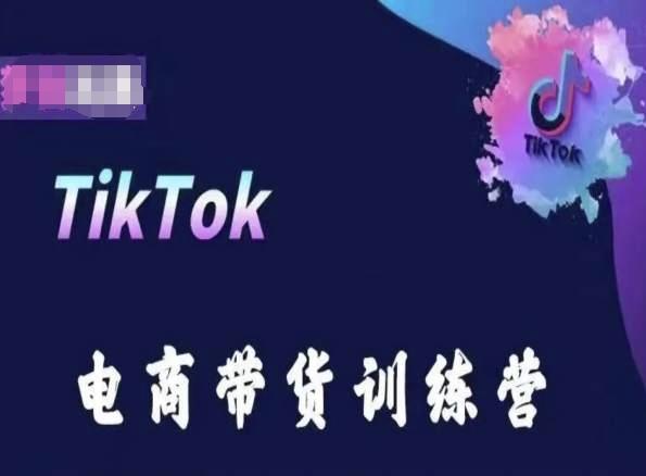 TikTok电商带货训练营，跟随时代潮流，跨境掘金-数智网创