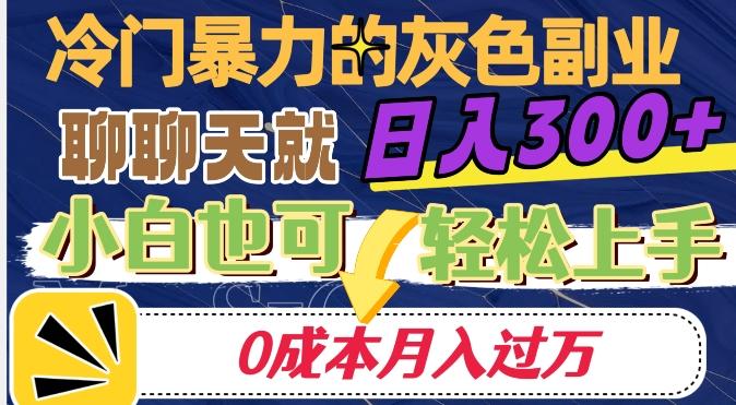 冷门暴利的副业项目，聊聊天就能日入300+，0成本月入过万【揭秘】-数智网创