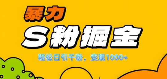 单人单机日引千粉,变现1k+,S粉流量掘金计划攻略【揭秘】-数智网创