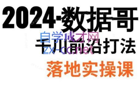 数据哥·2024年千川前沿打法落地实操课-数智网创