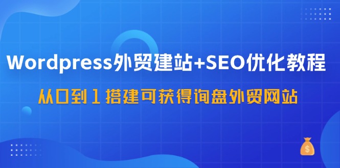 WordPress外贸建站+SEO优化教程，从0到1搭建可获得询盘外贸网站(57节课)-数智网创