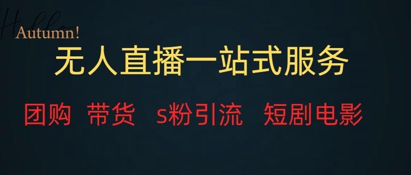无人直播一站式服务（教程以及变现方式）-数智网创