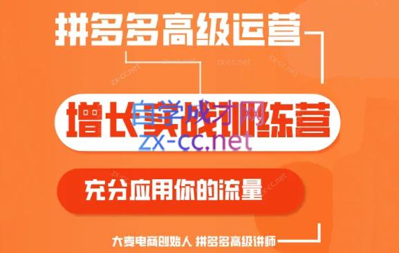 大麦老师·拼多多单品爆款打造课程(更新6月)-数智网创