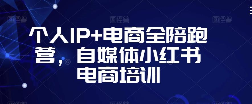 个人IP+电商全陪跑营，自媒体小红书电商培训-数智网创