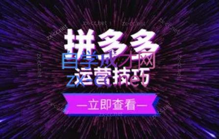 力辛电商·拼多多强付费店群玩法-数智网创