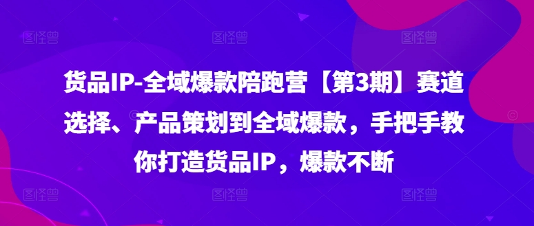 货品IP全域爆款陪跑营【第3期】赛道选择、产品策划到全域爆款，手把手教你打造货品IP，爆款不断-数智网创