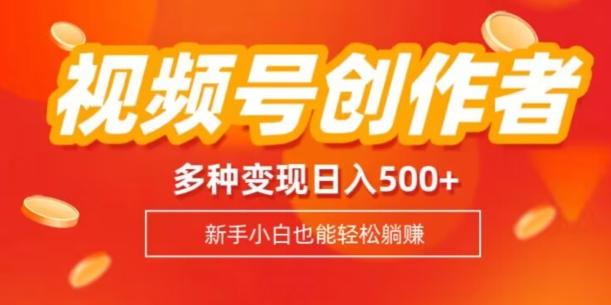 视频号创作者计划，多种变现方式，日入500+【内附1080g视频素材】-数智网创