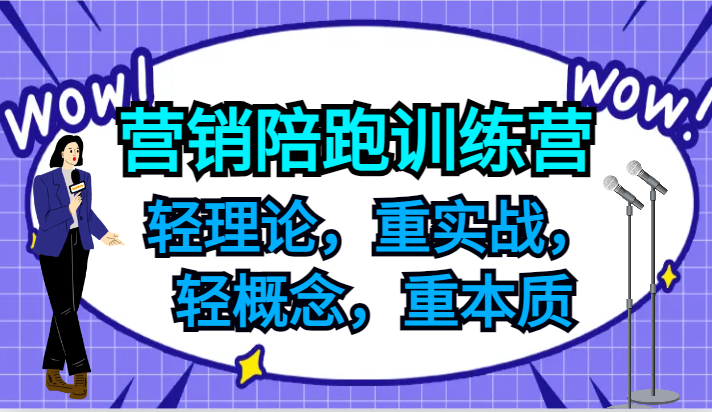 营销陪跑训练营，轻理论，重实战，轻概念，重本质，适合中小企业和初创企业的老板-数智网创