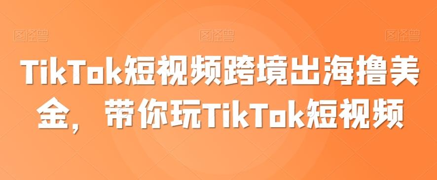 TikTok短视频跨境出海撸美金,带你玩TikTok短视频-数智网创