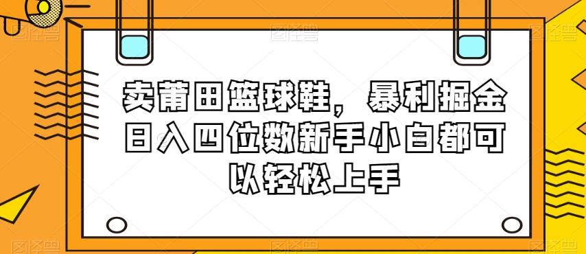 卖莆田篮球鞋，暴利掘金日入四位数新手小白都可以轻松上手【揭秘】-数智网创