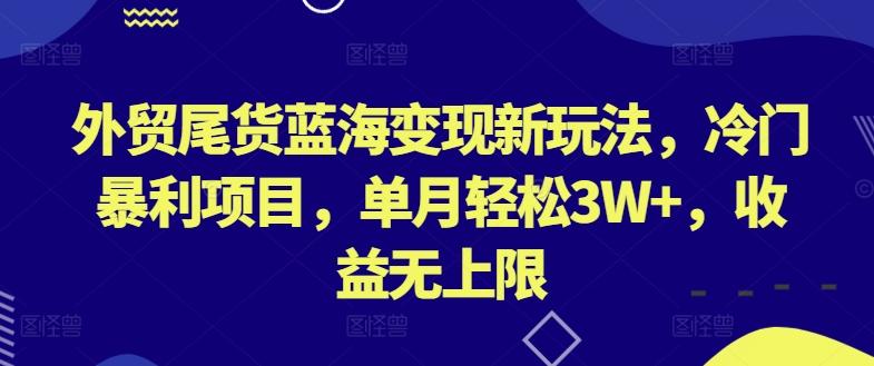外贸尾货蓝海变现新玩法，冷门暴利项目，单月轻松3W+，收益无上限【揭秘】-数智网创