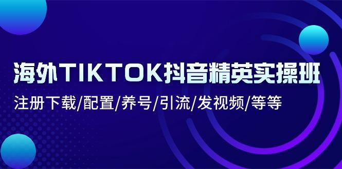 海外TIKTOK抖音精英实操班：注册下载/配置/养号/引流/发视频/等等-数智网创
