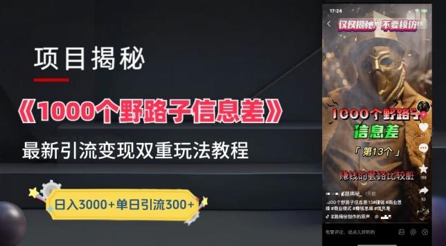 一千个野路子信息差最新玩法教程-变现+引流的玩法具体拆解【揭秘】-数智网创