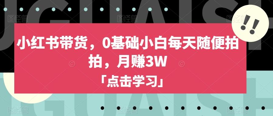 小红书带货，0基础小白每天随便拍拍，月赚3W【揭秘】-数智网创