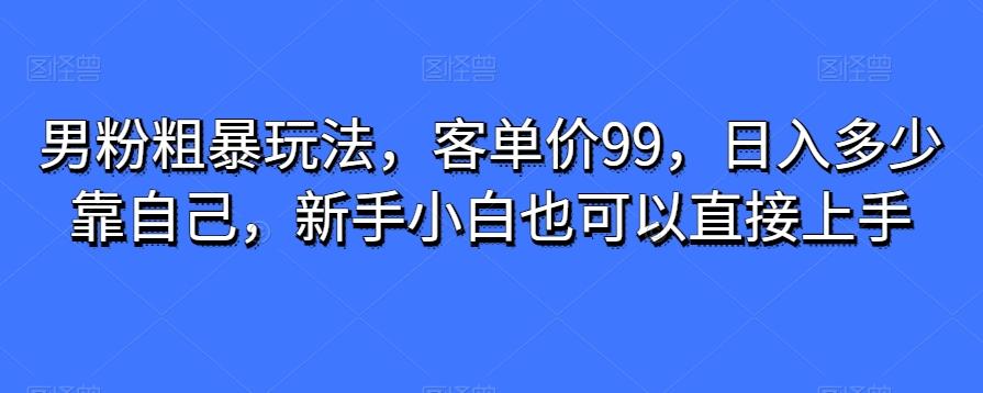 男粉粗暴玩法，客单价99，日入多少靠自己，新手小白也可以直接上手-数智网创