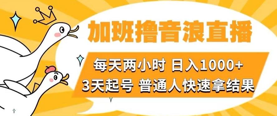 加班撸音浪直播,每天两小时,日入1000+,直播话术才3句,3天起号,普通人快速拿结果【揭秘】-数智网创