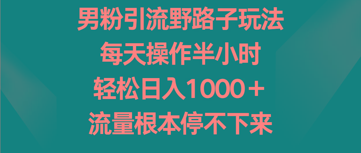 男粉引流野路子玩法,每天操作半小时轻松日入1000+,流量根本停不下来-数智网创