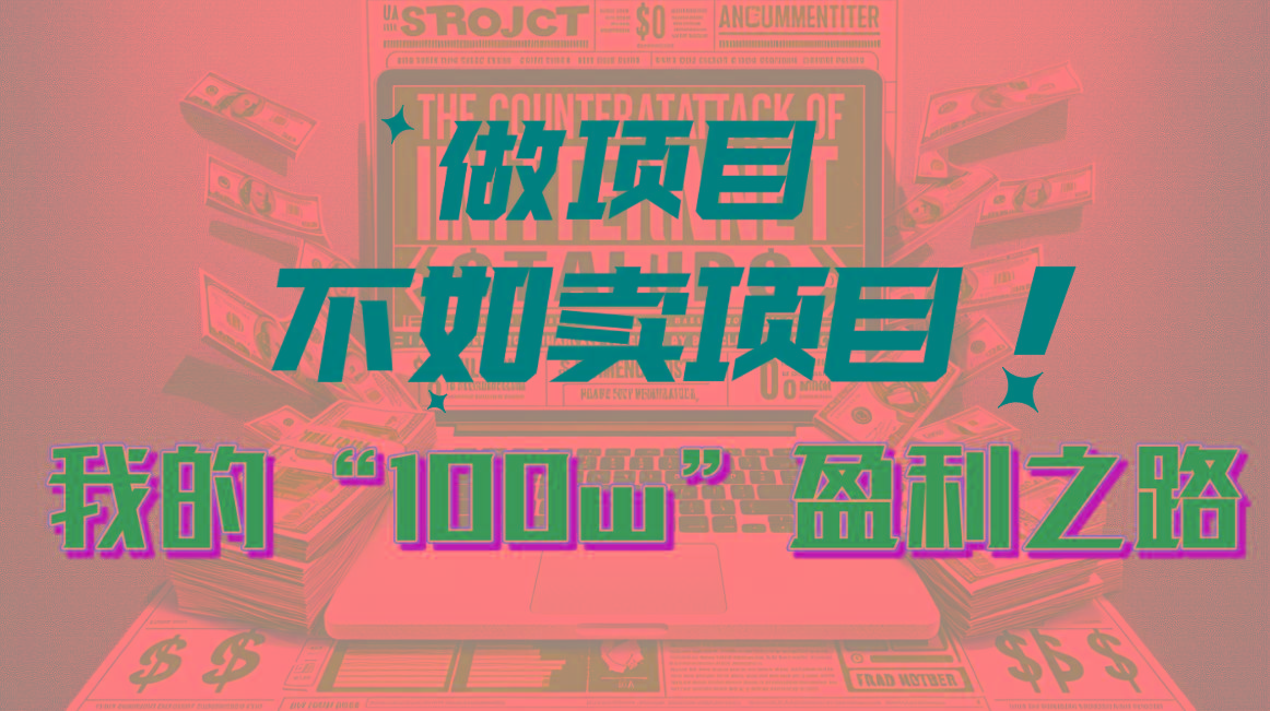 为什么做项目不如卖项目？我的100W+盈利之路-数智网创