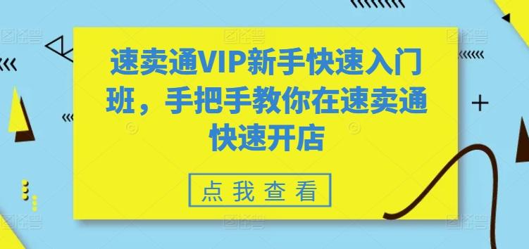 速卖通VIP新手快速入门班，手把手教你在速卖通快速开店-数智网创