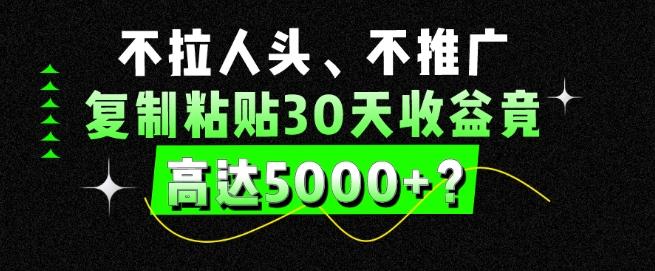 不拉人头、不推广，复制粘贴30天收益竟高达5000+？-数智网创