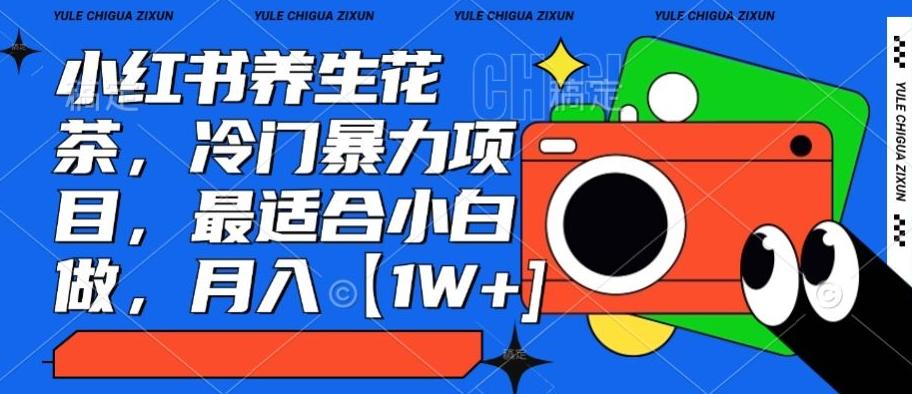小红书养生花茶，冷门暴力项目，最适合小白做，月入【1W+】-数智网创