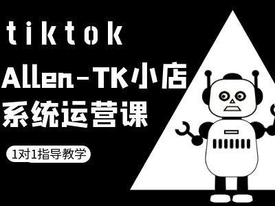 TK小店系统运营课-tiktok跨境电商教程-数智网创
