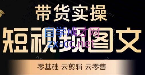 鑫哥·2024零基础短视频带货实操营-数智网创
