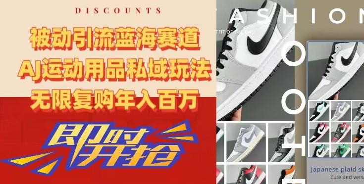 被动引流蓝海赛道，AJ运动用品私域玩法，无限复购年入百万【揭秘】-数智网创