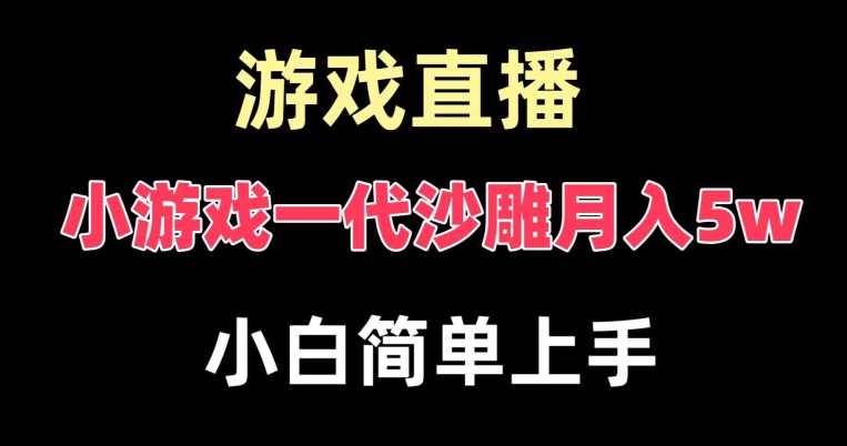 玩小游戏一代沙雕月入5w，爆裂变现，快速拿结果，高级保姆式教学【揭秘】-数智网创