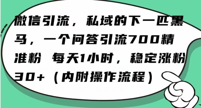 怎么搞精准创业粉?微信新赛道,每天一小时,利用Ai一个问答日引100精准粉-数智网创