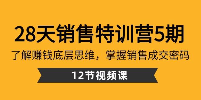 28天销售特训营5期：了解赚钱底层思维，掌握销售成交密码（12节课）-数智网创