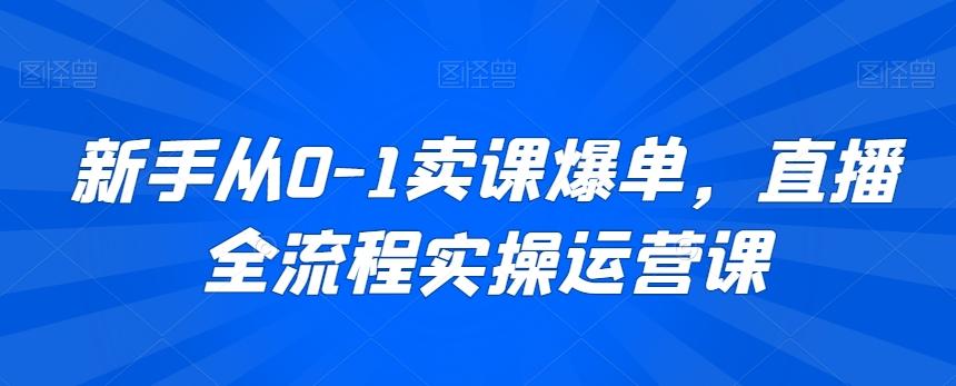 新手从0-1卖课爆单,直播全流程实操运营课-数智网创