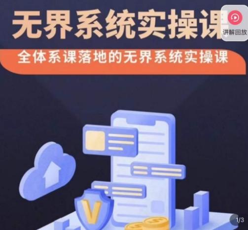 老衲·无界系统实操课，全体系落地无界改版后选择、出价、高投产做付费引流-数智网创