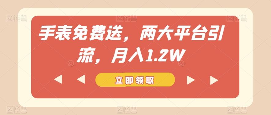 手表免费送，两大平台引流，月入1.2W【揭秘】-数智网创