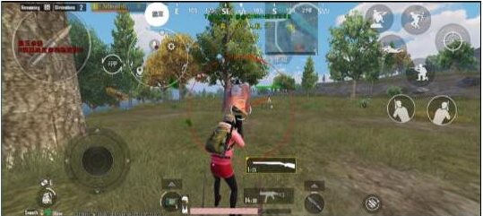 pubg3.3狼王公益直装 v6-数智网创