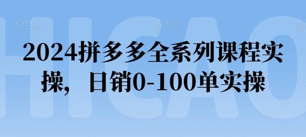 2024拼多多全系列课程实操，日销0-100单实操【必看】-数智网创